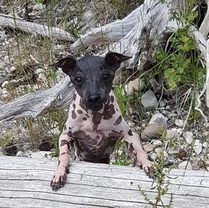 Meet your Posher, Sherry